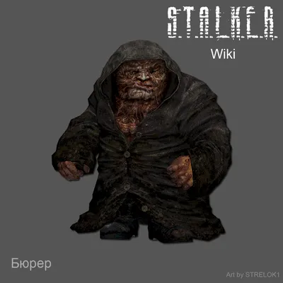 В S.T.A.L.K.E.R. 2 появятся новые мутанты — и вот какие | CQ - игровые  новости, косплей, киберспорт | Дзен