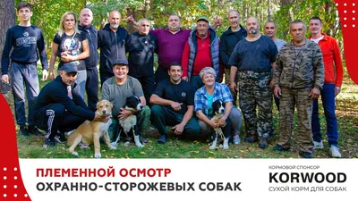 Петербуржцам рассказали, как складывается жизнь служебных собак в отставке