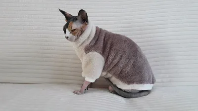 Polidex для кошек 80 Super Wool (Супер Вул), 80 таб. купить по низкой цене  с доставкой - БиоСтайл