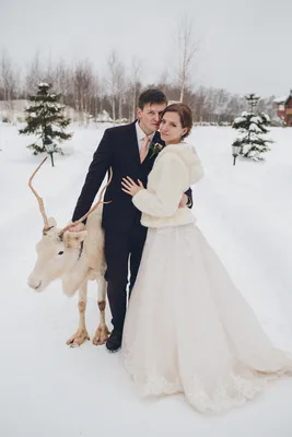 Свадьба зимой | Ирина Соколянская: Свадебный распорядитель Москва  организатор