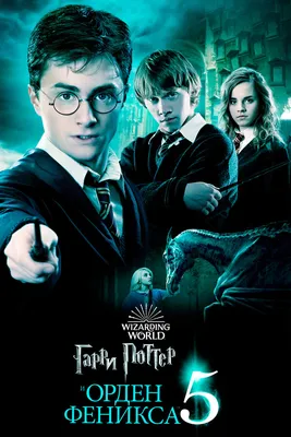 Гарри Поттер и Орден Феникса, 2007 — описание, интересные факты — Кинопоиск