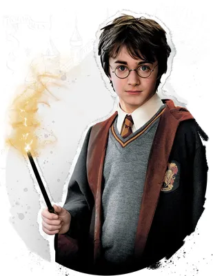 Гарри Поттер. Год в Хогвартсе (Harry Potter: A Year at Hogwarts) | Купить  настольную игру (обзор, отзывы, цена) в Игровед