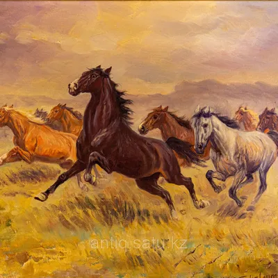 Табун лошадей 24 - Интерсалон, Сочи