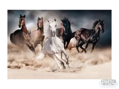 Набор ДТ Алмазная мозаика Табун лошадей 30*40 см ASG032 (ASG032) по низкой  цене - Murzilka.kz
