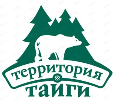 Музей русской тайги | Нижегородская область | Культурный туризм