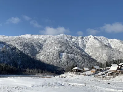 Ферментированный Иван чай \"Секрет тайги\" купить по выгодной цене 🌲  Интернет-магазин \"Тайга Сибири\" 🌲