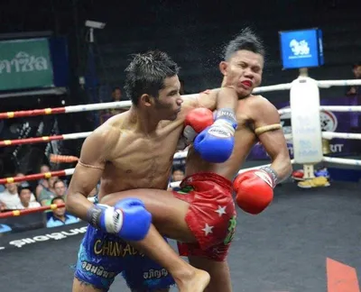 Тайский бокс в Красногорске - Защитная экипировка для Тайского бокса. |  Facebook