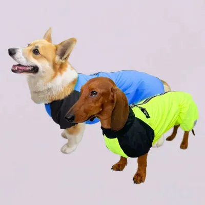 Chill Choll Одежда для собак таксы