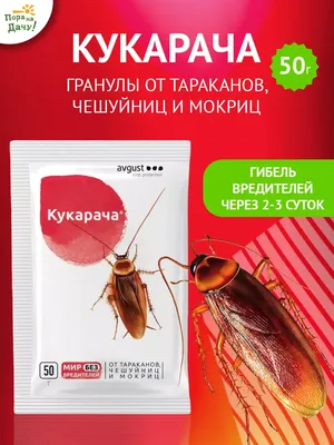 Купить Порошок от тараканов Цань Во Дуань Китайский E3008 /30 /900 оптом по  низкой цене с доставкой от компании Востокимпорт