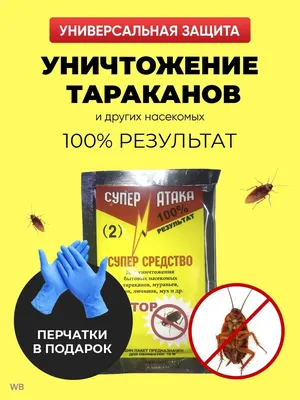 Абсолют Тотал против тараканов 400 мл/Спрей от тараканов - купить с  доставкой по выгодным ценам в интернет-магазине OZON (671601697)