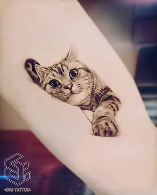 Значение татуировки \"Кошек\"