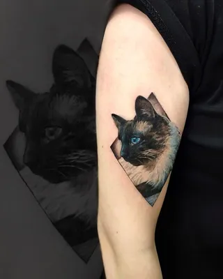 Значение татуировки кошка - история, смысл и примеры