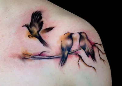 Тату эскизы птиц | tattoo-sketches.com | Дзен