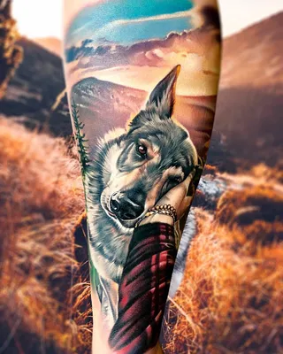 10 татуировок о любви к домашним животным | Tattoo | Татуировки | Дзен