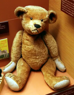 Teddy Bear Teddy Bear Turn Around | Nursery Rhyme For Kids With Lyrics