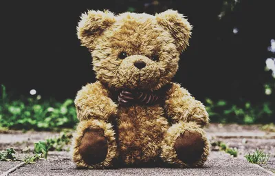 National Teddy Bear Day (September 9th) | Days Of The Year