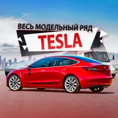 Сколько стоит Тесла в Беларуси Tesla Model 3 S X Y