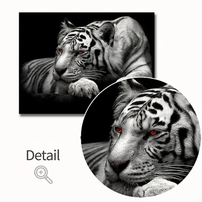 Портрет сибирского тигра в черно-белой со сверхконтрастным Стоковое Фото -  изображение насчитывающей охота, бенина: 182149672