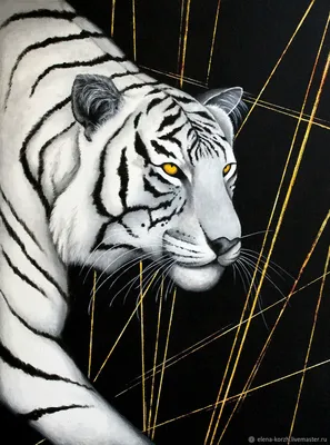 Черно-белый рисунок морды тигра на белом фоне | Премиум Фото