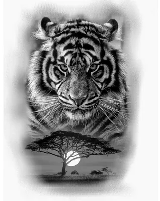 Фотообои Чёрно-белый портрет тигра артикул Anm-119 купить в Екатеринбурге |  интернет-магазин ArtFresco