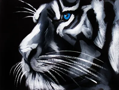 Портрет тигра на черном фоне черно-белое фото | Премиум Фото