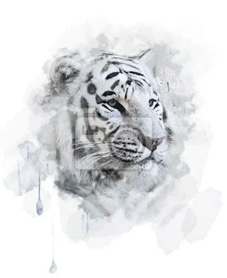 Тигр простой рисунок - 37 фото