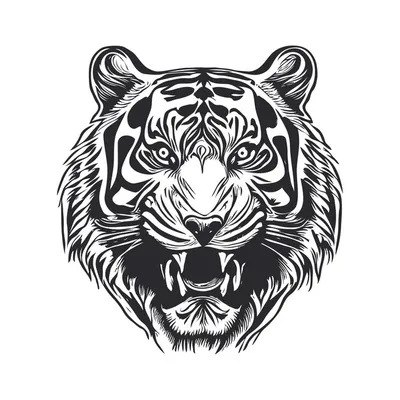 Черно-белое изображение тигра | Премиум векторы
