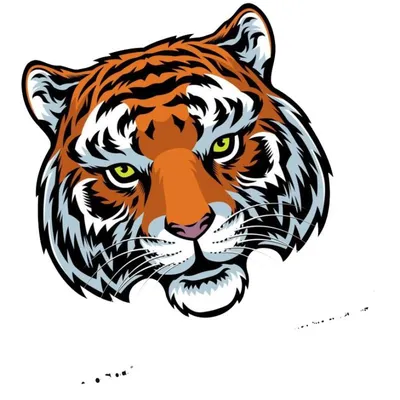 Картинка грозный тигр ❤ для срисовки