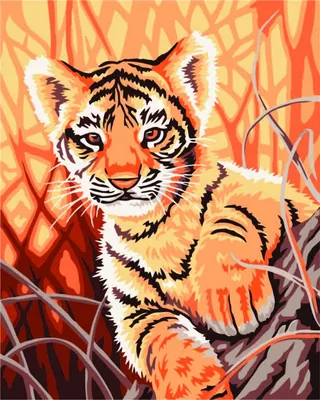 Рисунок тигра для срисовки - 53 фото