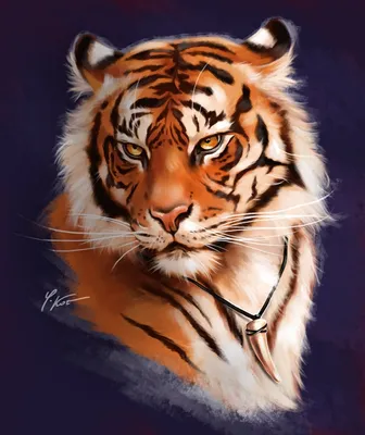 100 красивых картинок тигра для срисовки » Dosuga.net — Сайт Хорошего  Настроения