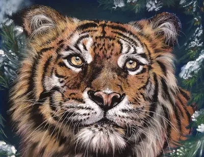 Картинка очень злой тигр ❤ для срисовки