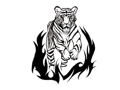 Рисунки тигра для срисовки - 78 фото