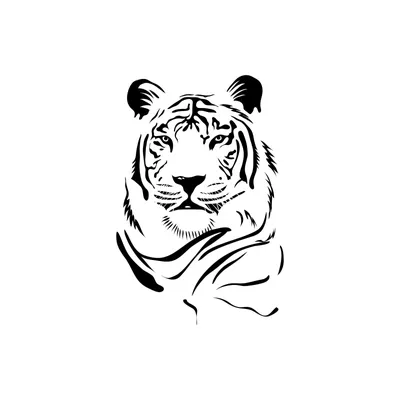 Тело тигра - картинки и фото koshka.top