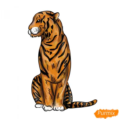 Картинка красивый тигр ❤ для срисовки