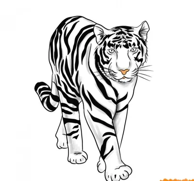Как нарисовать Тигра поэтапно карандашом, красками, фломастерами