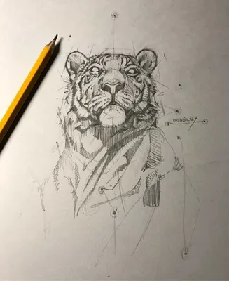 Трафарет тигра для рисования - 50 фото