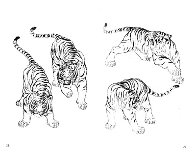 Рисунок тигра | Пикабу