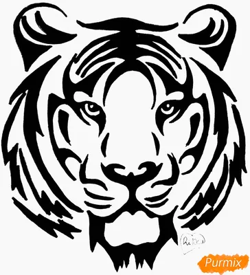 Как нарисовать тату тигра карандашом поэтапно