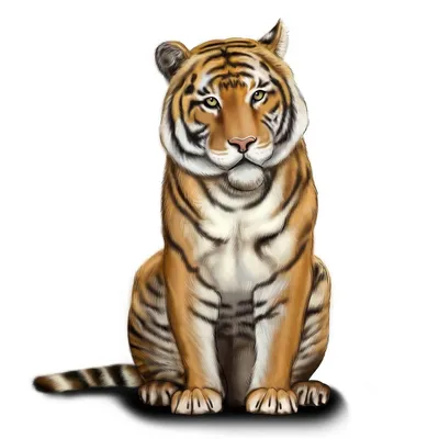 Второй шанс джульбарса. Кто и как реализует уникальный проект по  возрождению туранского тигра в Центральной Азии