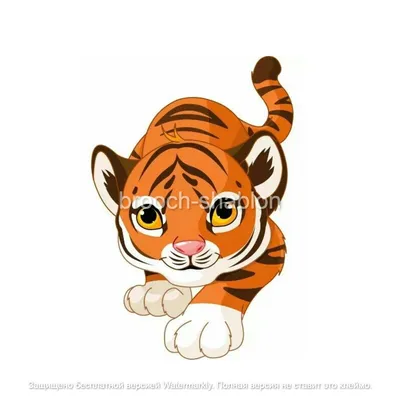 Тигр рисунок прикольный (21 фото) » Рисунки для срисовки и не только