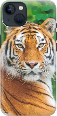 Силиконовый чехол на Apple iPhone 13 / Эпл Айфон 13 с рисунком \"Портрет  тигра\" - купить с доставкой по выгодным ценам в интернет-магазине OZON  (327835135)