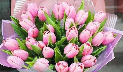 Бело-розовые тюльпаны в бархатной коробке | доставка по Москве и области