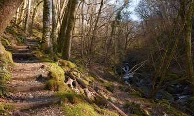 Torrent Walk | Walks and Routes Snowdonia National Park