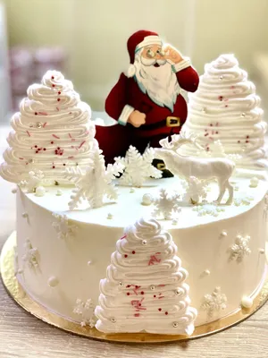 Торт Торт на Новый год | заказать с доставкой в кондитерской Studio Truffle