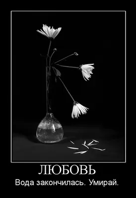 Цветок Plumeria тоски и одиночества Стоковое Фото - изображение  насчитывающей развод, взорвать: 81164476