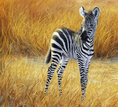 Хищные и травоядные животные от Lucie Bilodeau (Canada/USA 1967)... .  Обсуждение на LiveInternet - Российский Сервис … | Baby zebra, Zebra  pictures, African animals