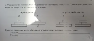 Среди древних крокодиломорфов нашли несколько травоядных