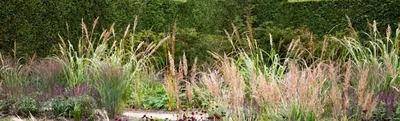 Аперитив Степные травы 18%, 100мл - купить с доставкой в Самаре в  Перекрёстке