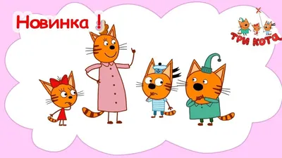 Три кота | Красивые сладости. Коржик, Карамелька и Компот строят вкусную  пирамидку. Учим цвета - YouTube