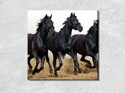 Тройка лошадей с праздничной повозкой…» — создано в Шедевруме